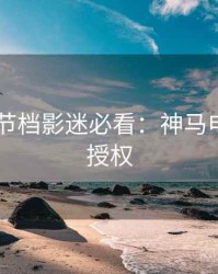 2025春节档影迷必看：神马电影正版授权