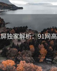 全网刷屏独家解析：91网高清资源