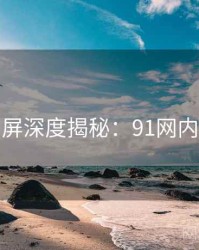 全网刷屏深度揭秘：91网内幕浮现