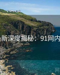 2025最新深度揭秘：91网内幕浮现