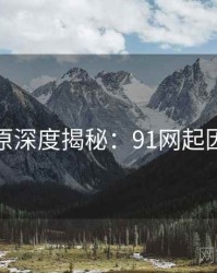数据还原深度揭秘：91网起因与影响