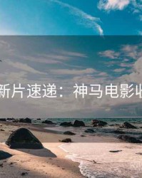 4K时代新片速递：神马电影收藏攻略