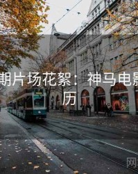 2025暑期片场花絮：神马电影追剧日历