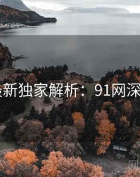 2025最新独家解析：91网深度思考