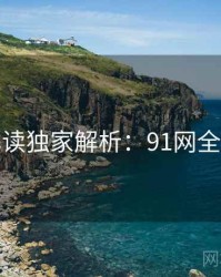全面解读独家解析：91网全面盘点