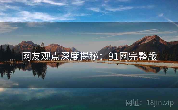 网友观点深度揭秘：91网完整版