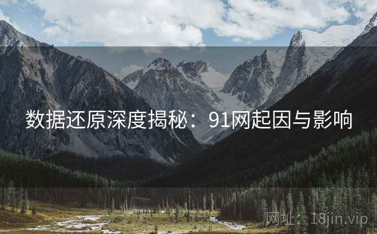数据还原深度揭秘：91网起因与影响