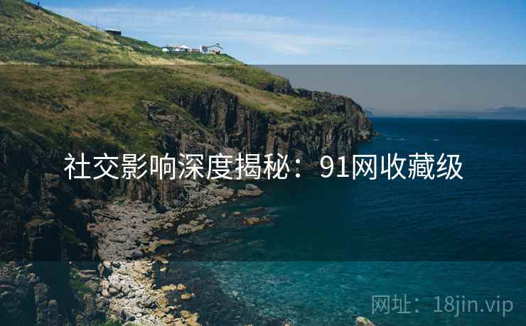 社交影响深度揭秘：91网收藏级