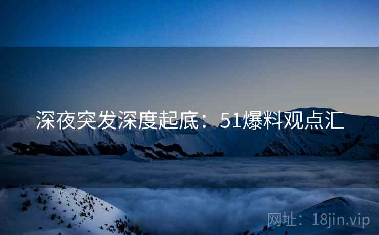 深夜突发深度起底：51爆料观点汇