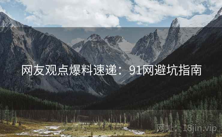 网友观点爆料速递：91网避坑指南