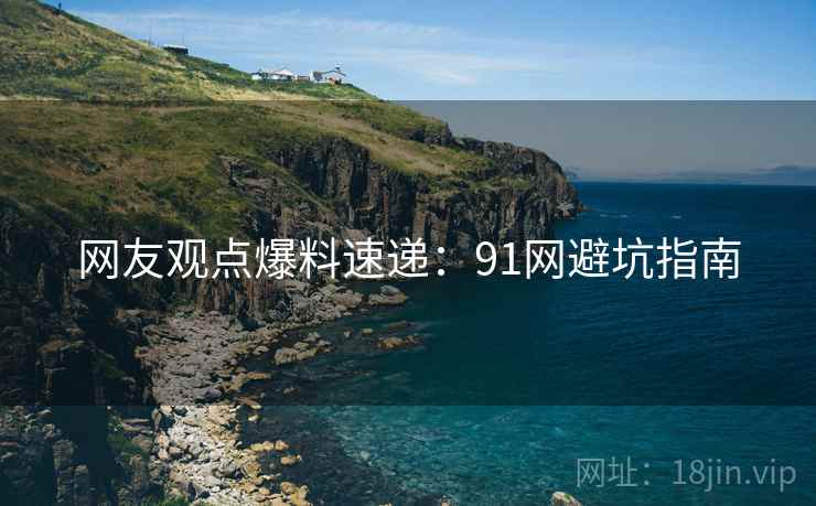 网友观点爆料速递：91网避坑指南
