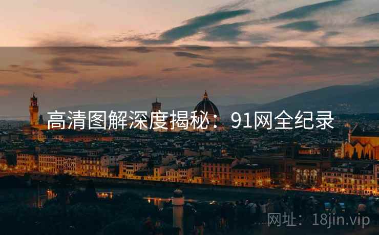 高清图解深度揭秘：91网全纪录