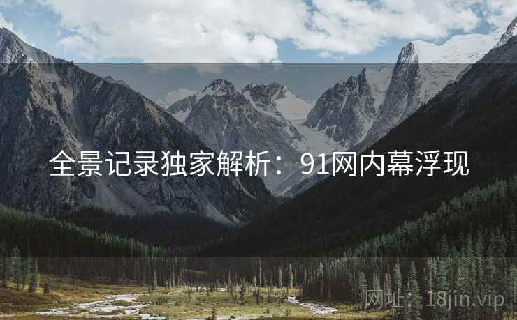 全景记录独家解析：91网内幕浮现