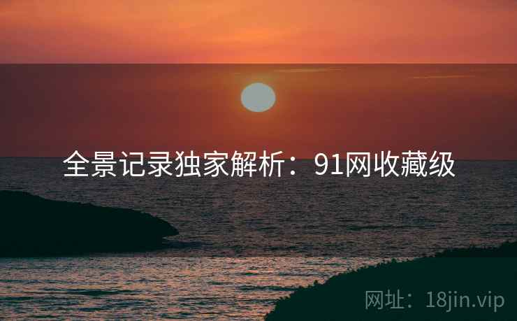 全景记录独家解析：91网收藏级