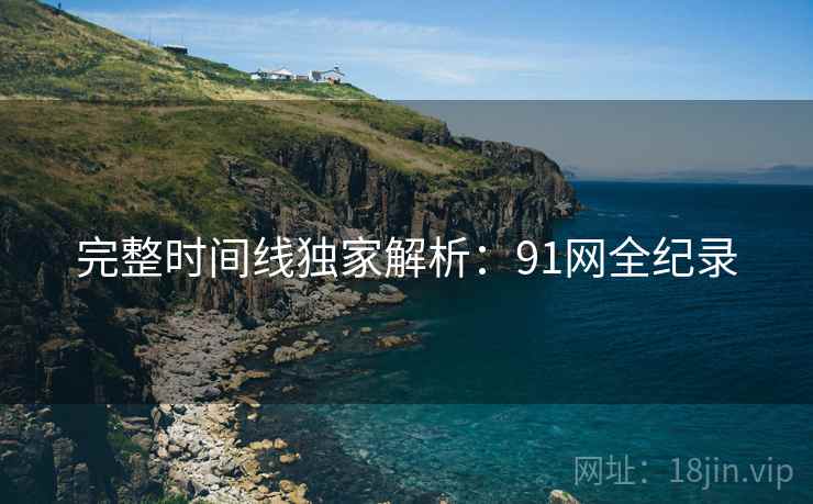 完整时间线独家解析：91网全纪录