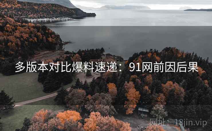 多版本对比爆料速递：91网前因后果