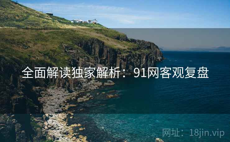全面解读独家解析：91网客观复盘
