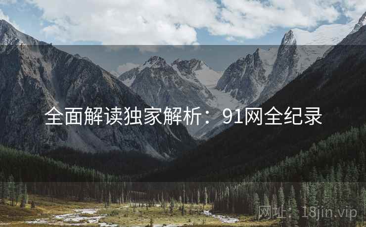 全面解读独家解析：91网全纪录